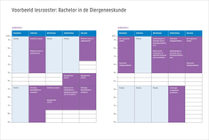 Voorbeeld lesrooster: Bachelor in de Diergeneeskunde