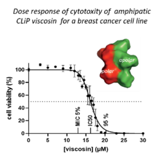 Dose response of cytotoxity of amphipatic CLiP viscosin