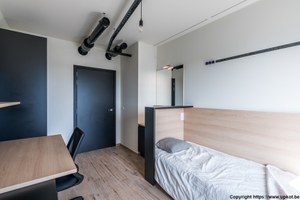 Kamer leeg - lavabo, bed & bureau