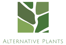 Alternative Plants