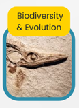 Major Biodiversity & Evolution