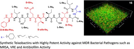 Development of teixobactin analogues containing hydrophobic, non-proteogenic amino acids that are highly potent against multidrug-resistant bacteria and biofilms